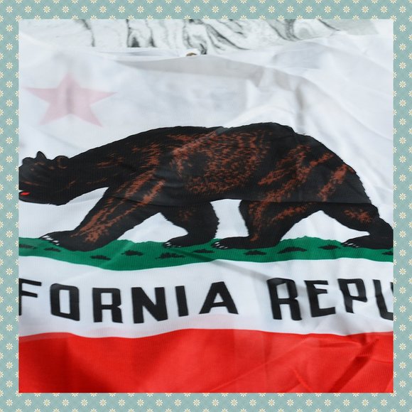 Large California Flag‎ Wall Hanging - Picture 1 of 5